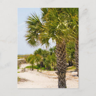 hilton head georgia beach and ocean "south beach" postcard