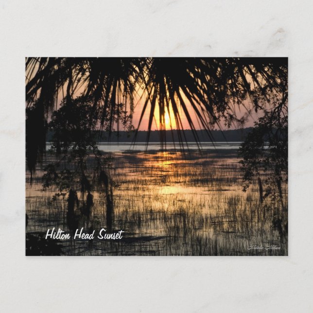 Hilton Head Sunset Postcard (Front)