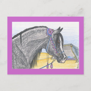 "Hilw bint Umm Ard" Postcard
