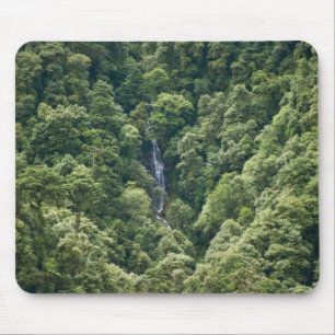 Himalaya forest in the Mangdue valley, Bhutan Mouse Pad
