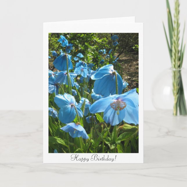 Himalayan Blue Poppy Birthday Card (Front)