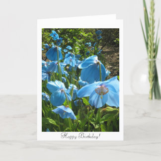 Himalayan Blue Poppy Birthday Card