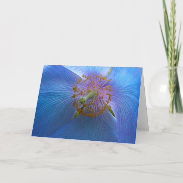 Himalayan Blue Poppy Card (Front)