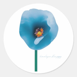 Himalayan Blue Poppy Flower Sticker