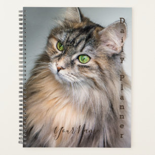 Himalayan Cat - Daily Planner- HAMbWG Planner