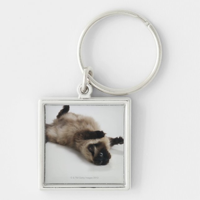 Himalayan Cat Lying on his Back Keychain (Front)