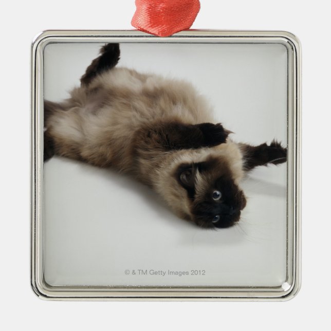 Himalayan Cat Lying on his Back Metal Ornament (Front)