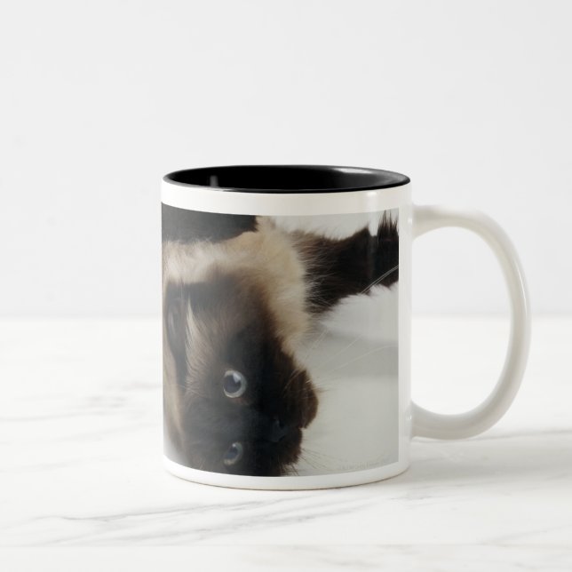 Himalayan Cat Lying on his Back Two-Tone Coffee Mug (Right)