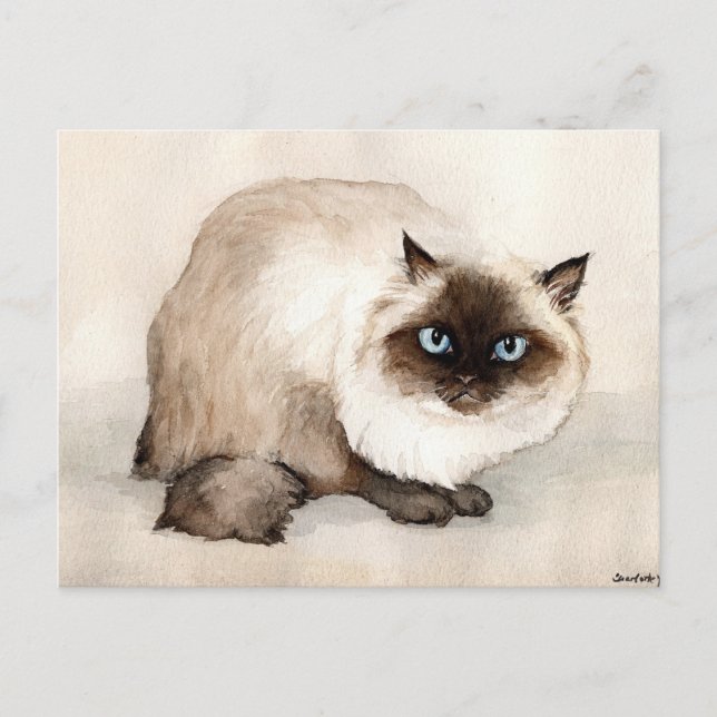 Himalayan Cat Original Art Postcard (Front)