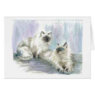 Himalayan cats