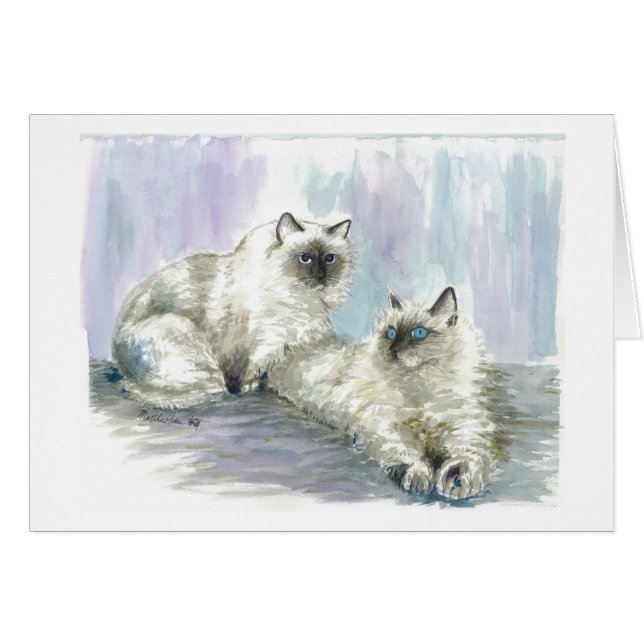 Himalayan cats (Front Horizontal)