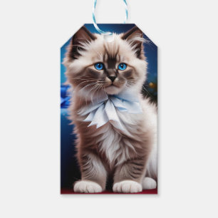 Himalayan Kitten Present blue bow Gift Tags