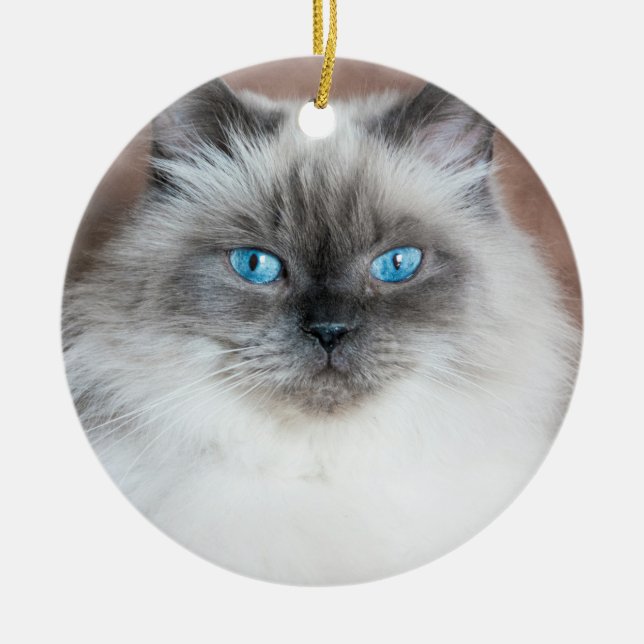 Himalayan Portrait Ceramic Ornament (Front)