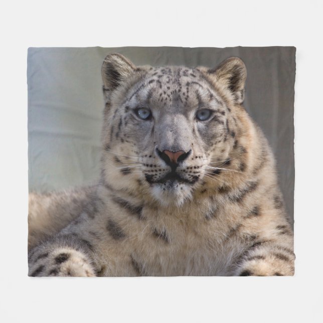 Himalayan Prince Fleece Blanket (Front (Horizontal))