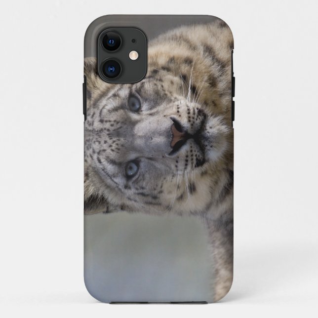 Himalayan Prince iPhone 5 Case-Mate Case (Back)