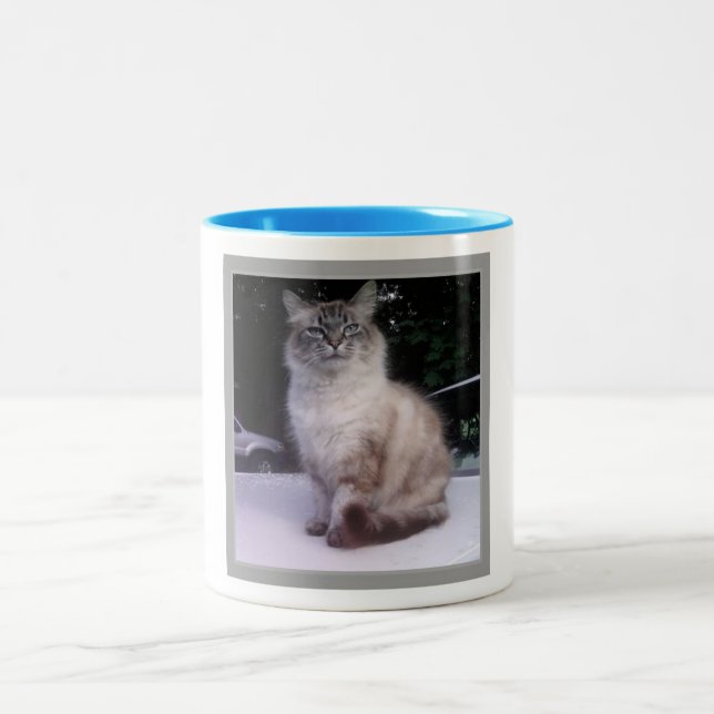 Himalayan Tabby Siamese Maine Coon Two-Tone Coffee Mug (Center)