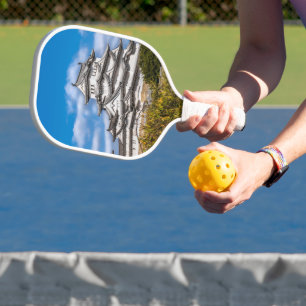 Himeji castle #5, Japan Pickleball Paddle
