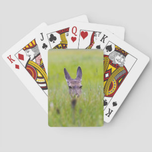 hinding deer playing cards