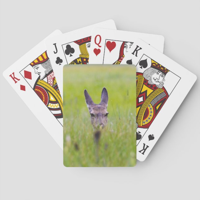 hinding deer playing cards (Back)