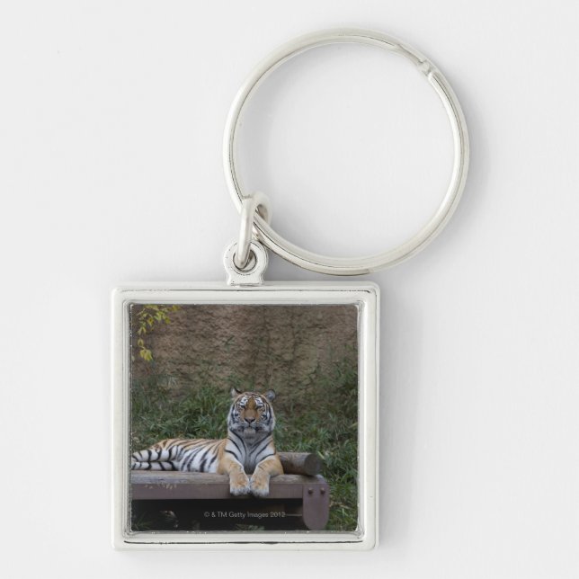 Hino, Tokyo Prefecture, Japan Keychain (Front)