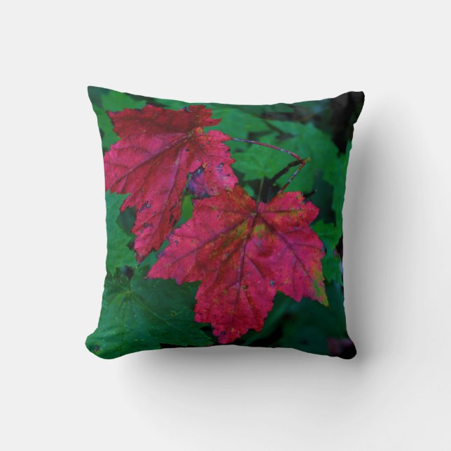 Hint of Fall Throw Pillow (Front)