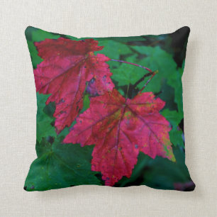 Hint of Fall Throw Pillow