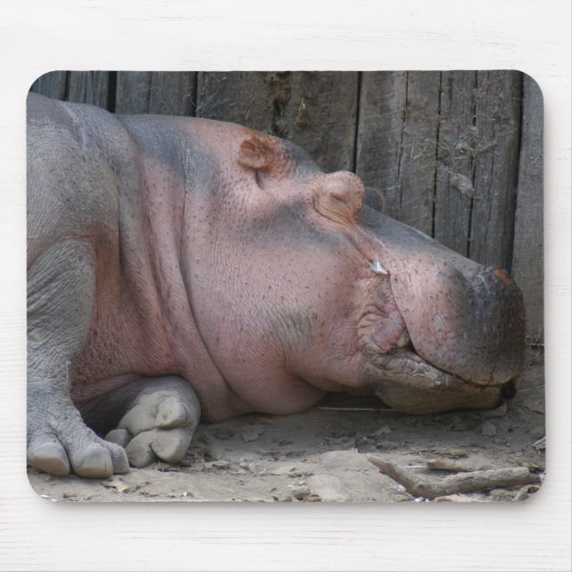 hippo2-4 mouse pad (Front)