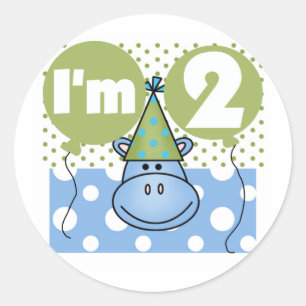 Hippo 2nd Birthday Tshirts and Gifts Classic Round Sticker