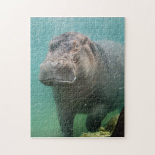 hippo-4 jigsaw puzzle