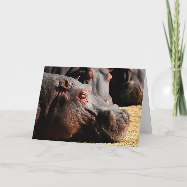 Hippo attitude customizable card (Front)