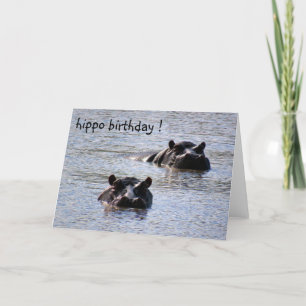 hippo birthday card