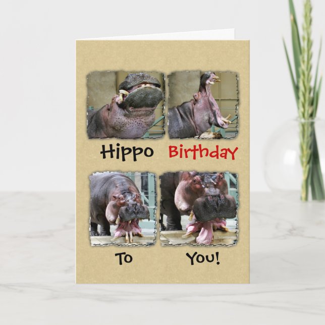 Hippo Birthday To You Greeting Card (Front)