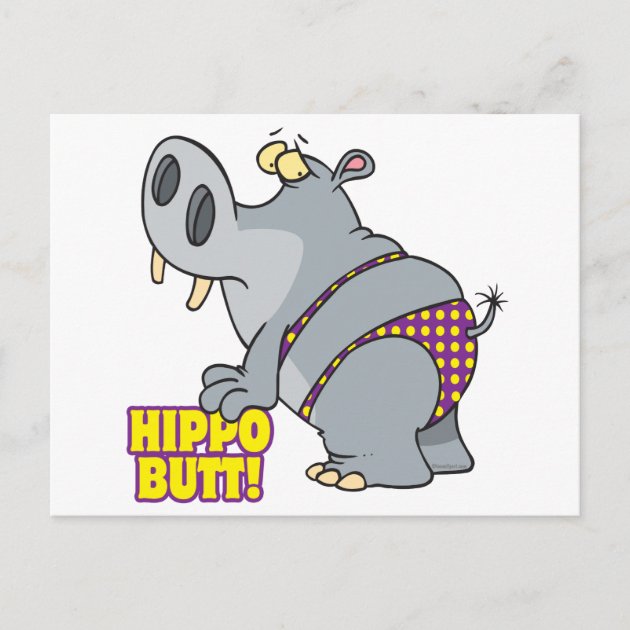 hippo butt bikini hippopotamus postcard Zazzle