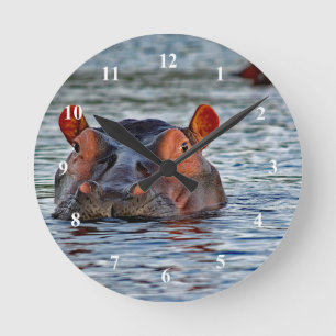 Hippo Clock