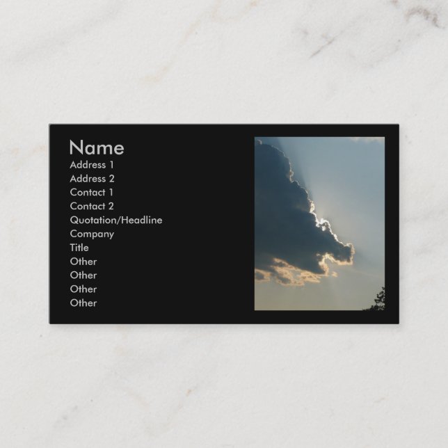 Hippo Cloud Business Card (Front)