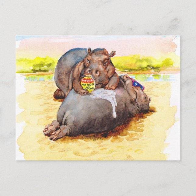 Hippo in the sun postcard (Front)