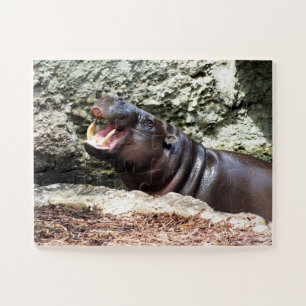 Hippo Jigsaw Puzzle
