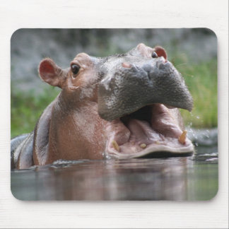 Hippo Mousepad