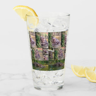 Hippo Photo Collage, Boire du verre