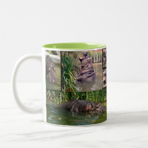 Hippo Photo Collage, Two-Tone Coffee Mug