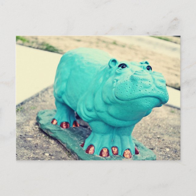 Hippo Postcard (Front)