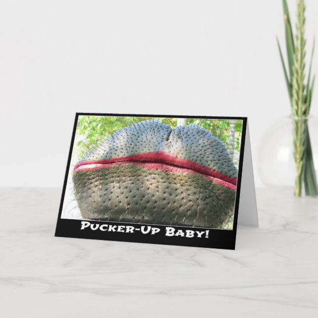 Hippo with Lipstick Greeting Card (Front)