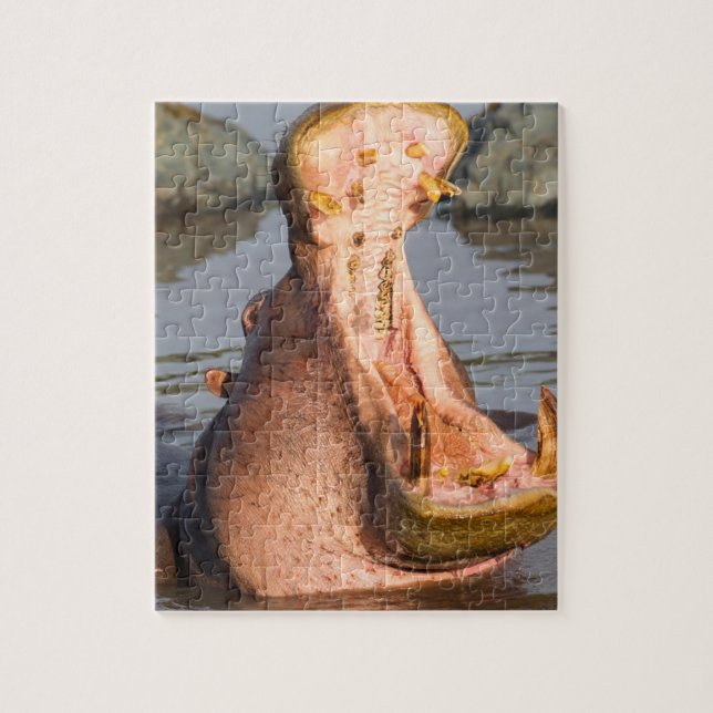 Hippo yawning, Tanzania Jigsaw Puzzle (Vertical)