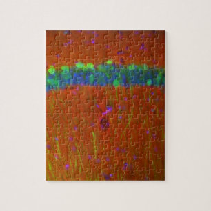 Hippocampal neurons 4 jigsaw puzzle