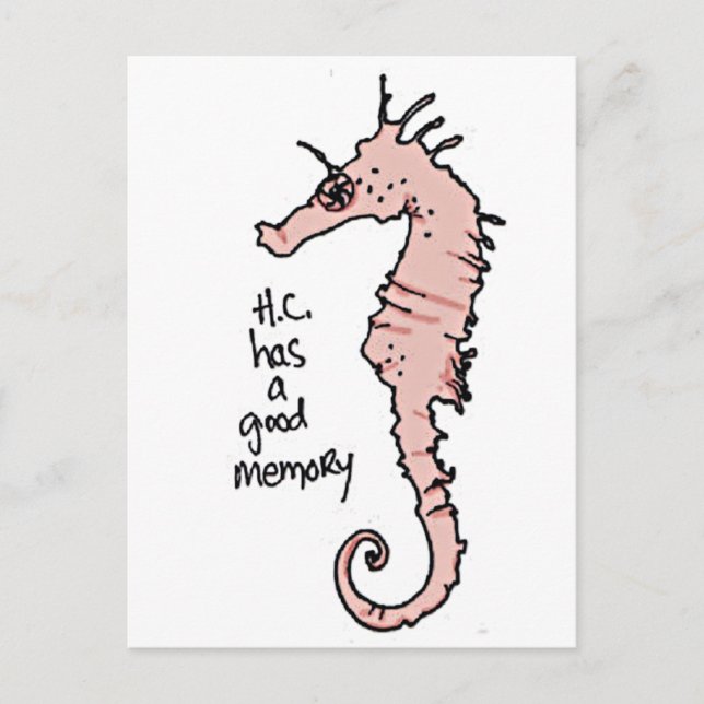 Hippocampus Postcard (Front)