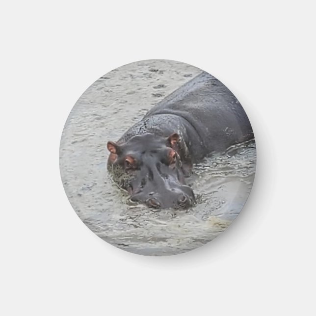 Hippoposterus Magnet (Front)