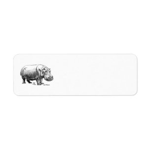 Hippopotame
