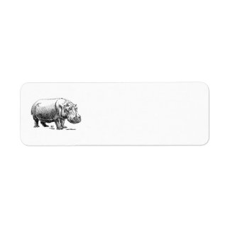 Hippopotame