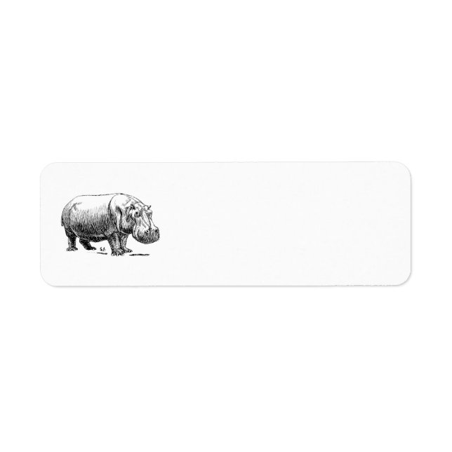 Hippopotame (Devant)
