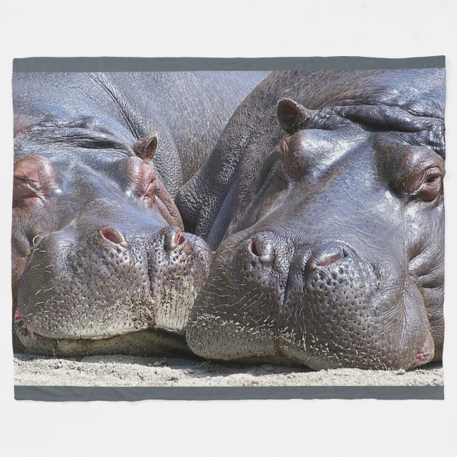Hippopotame sur la grande couverture d'ouatine (Devant (Horizontal))